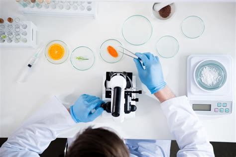 Proposed ‘Office of Food Safety Reassessment’ would target chemicals ...