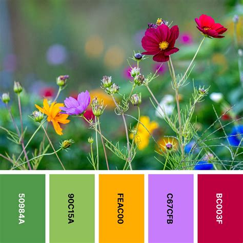 Nature Color 的图像结果