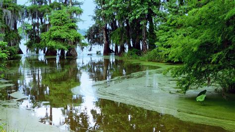 Louisiana National and State Parks, Lakes, and Historical Sites ...