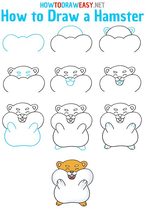 How to Draw a Hamster - Draw for Kids
