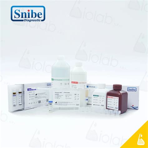Maglumi Helicobacter pylori IgA 2Gen (50 tests) -Biolab Diagnostics