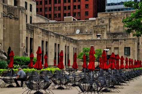 Electronic Working Model Project 的图像结果