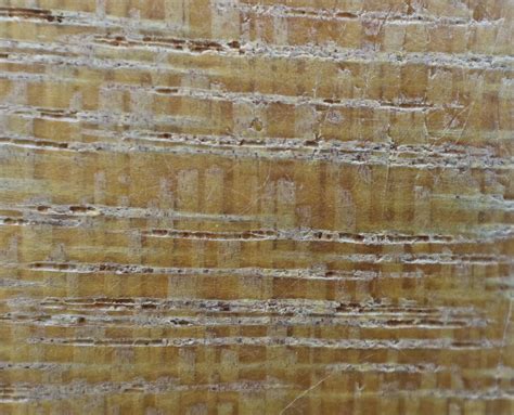 Lignum Vitae | The Wood Database (Hardwood)