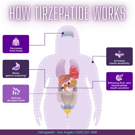 How Tirzepatide Can Help You | InShapeMD – San Angelo