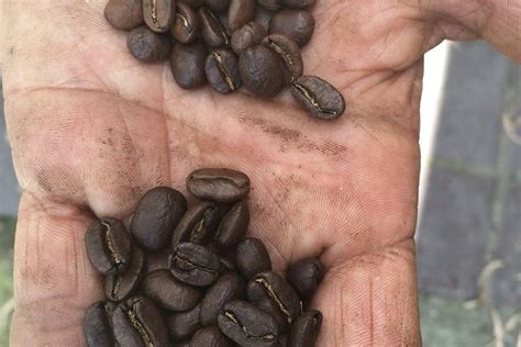 GRAN COLOMBIA TOURS (SALENTO) (2026) All You Need to Know BEFORE You Go ...