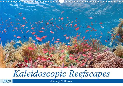 Buy Kaleidoscopic Reefscapes 2020: Landscape images of vividly ...
