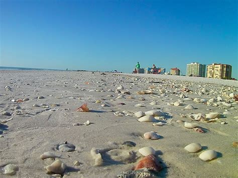 Stilts Marco Island Reservations at Willie Mixon blog