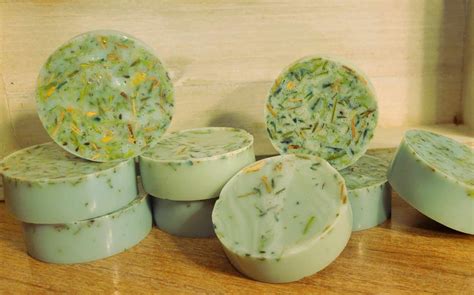 Bible Hyssop© Body Soap Two (2)Travel Size Bar Made in Israel with ...