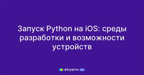 Image result for Python Idle iOS