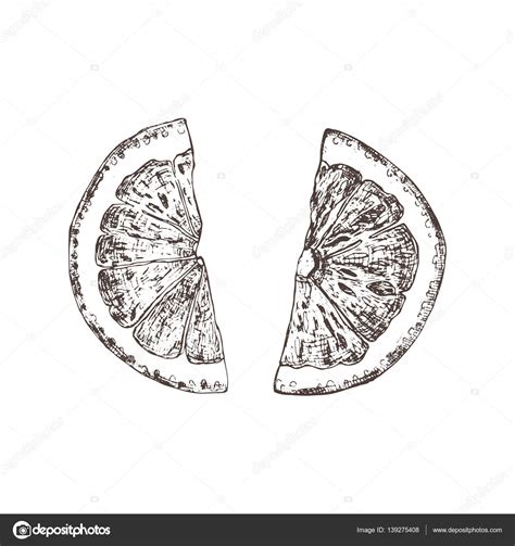 Orange Sketch Drawing