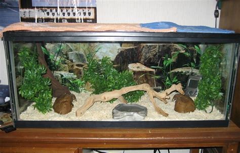 Image result for 15 Foot Python Enclosure