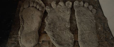 Hulu's 'Sasquatch' Is The Killer True Crime Surprise Of This 420 ...