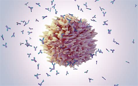 Rubella Virus Igg Ab
