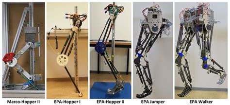 Biomimetics | Special Issue : Bio-Inspired Locomotion and Manipulation ...