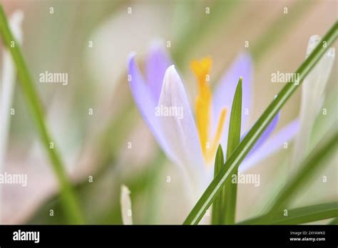 Image result for Python-Opencv Colormap