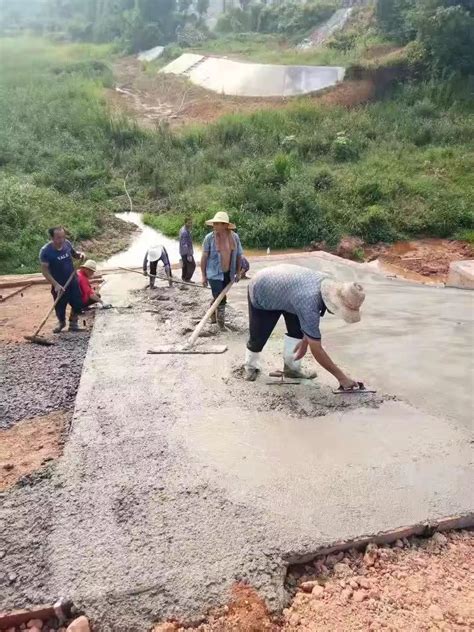 “非凡十年”株洲高质量发展特别报道之⑨ | 株洲经开区：筑巢引凤结硕果 - 株洲 - 新湖南