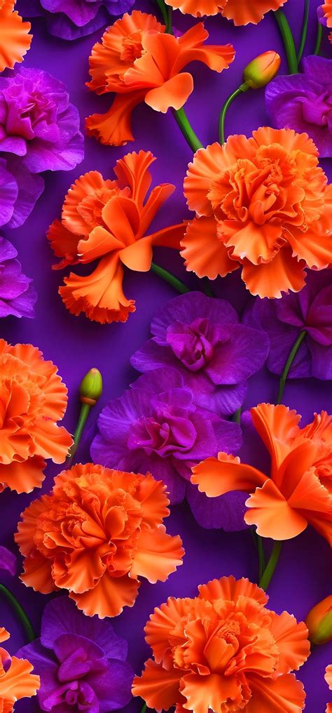 Orange and Purple Flower iPhone Wallpaper