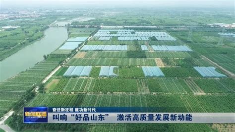 权威发布丨山东省全面谋划和推进“好品山东”品牌建设