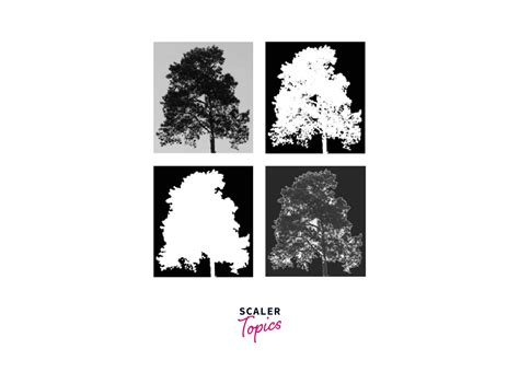 Image result for Image Processing Threshold