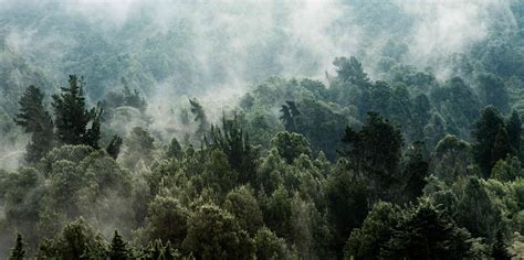 Fotos del embajador de Alemania para celebrar el cumpleaños de Bogotá ...