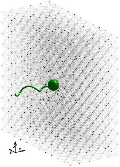 Performance of a Helical Microswimmer Traversing a Discrete ...
