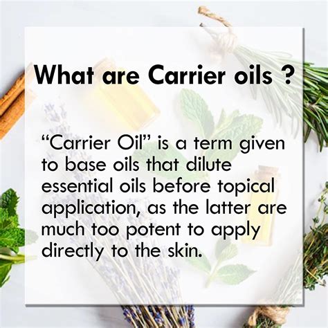 Buy Deve Herbes Pure Camellia Oil (Camellia kissi) 100% Natural ...