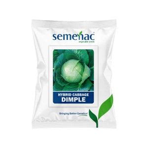 SEMENAC DIMPLE HYBRID CABBAGE SEEDS (ROUND HEAD) | BigHaat