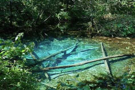 Spring Water Pond 的图像结果