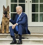Image result for Joe Biden's dog