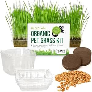 The Cat Ladies Cat Grass Growing Kit - 3 Pack Organic Seed, Soil and ...