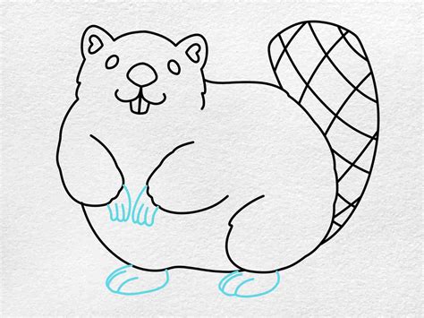 How to Draw a Beaver - HelloArtsy