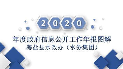 海盐县水改办（水务集团）2020年度政府信息公开工作年度报告