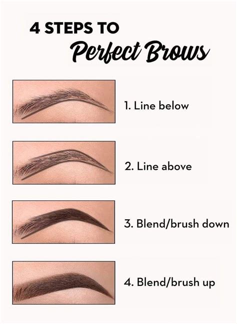 Image result for How to Draw Eyebrows Properly