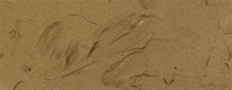 Vallejo Diorama Effects - Earth Textures - 26.219 Brown Earth - 200 ml ...