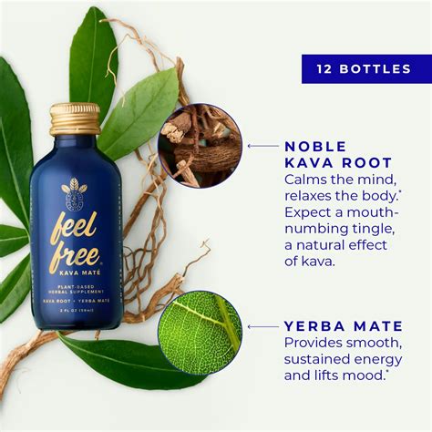 feel free Kava Maté tonic – Botanic Tonics