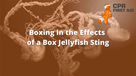 Box Jellyfish Venom Effects