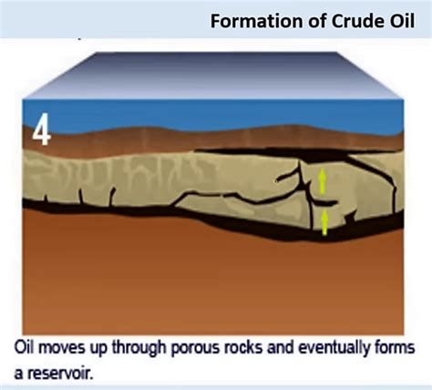 Oil Formation Diagram