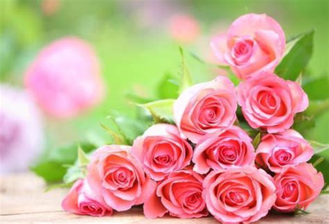 15朵玫瑰花代表什么意思 送玫瑰花要送几朵好_婚庆知识_婚庆百科_齐家网