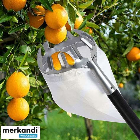 Fruit picker, fruit picking tool, apple picking attachment, 16cm ...