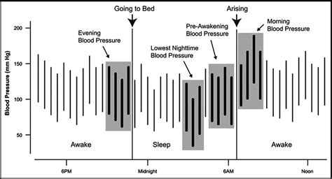 Morning surge in blood pressure and blood pressure variability in Asia: Evidence and statement ...