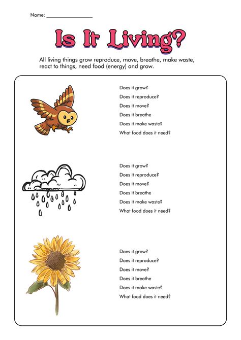 Science Worksheet Printable
