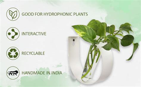 iCraft Wall Mounted Metal Ring and Two Test Tube Planters Connected ...