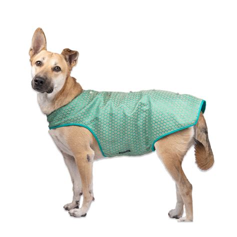 Dog Sherwani – Aqua Green Brocade – Mutt of Course