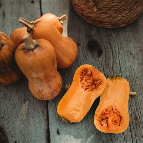 Amazon.com : Honeynut Squash - 25 Seeds - Mini Butternut Squash Variety ...