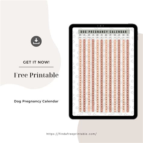 Free Printable Dog Pregnancy Calendar-4 - Find a Free Printable