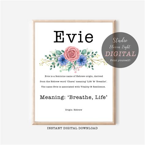 Evie Name Meaning Printable With Pink Flowers and Blue Flowers and ...