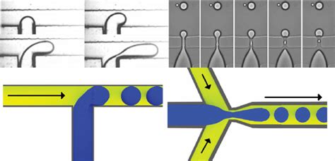 Image result for Microfludics Cell Encapsulation