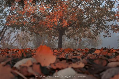 Autumn Works pt.2 by Lentzii on DeviantArt