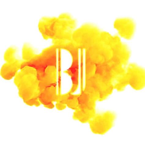 BJ Tutorial Visual 的图像结果