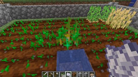 Image result for How to Use Minecraft Composter